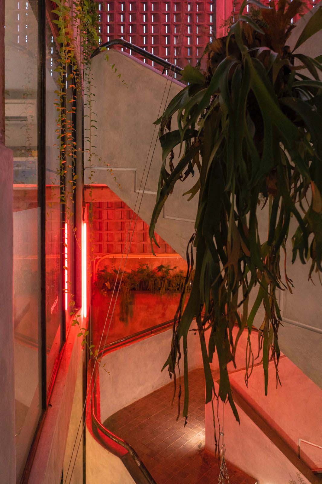 NIPAH COMPOUND, Nipah, Architecture, 2022